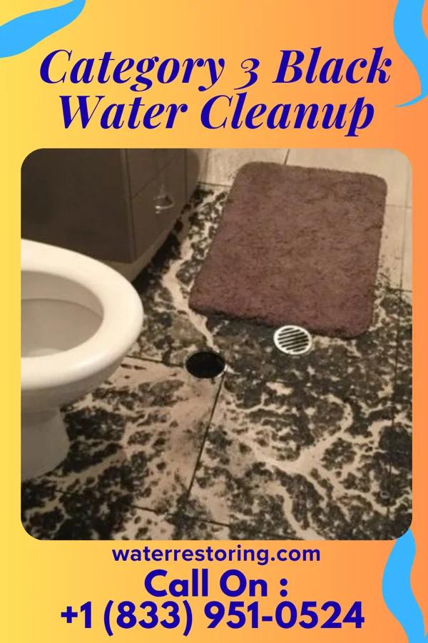 Category 3 Black Water Cleanup in Nevada, OH