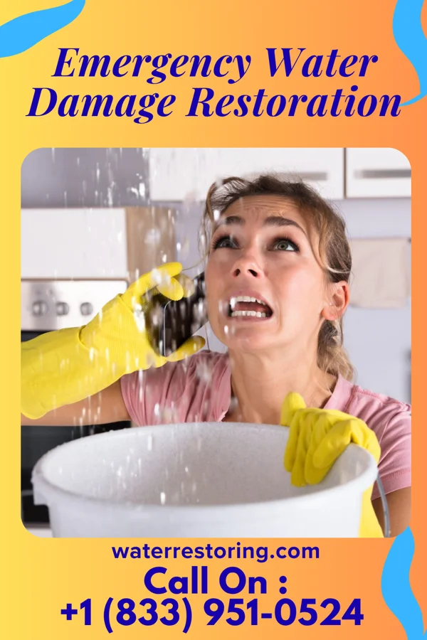 Emergency Water Damage Restoration in Nevada, OH