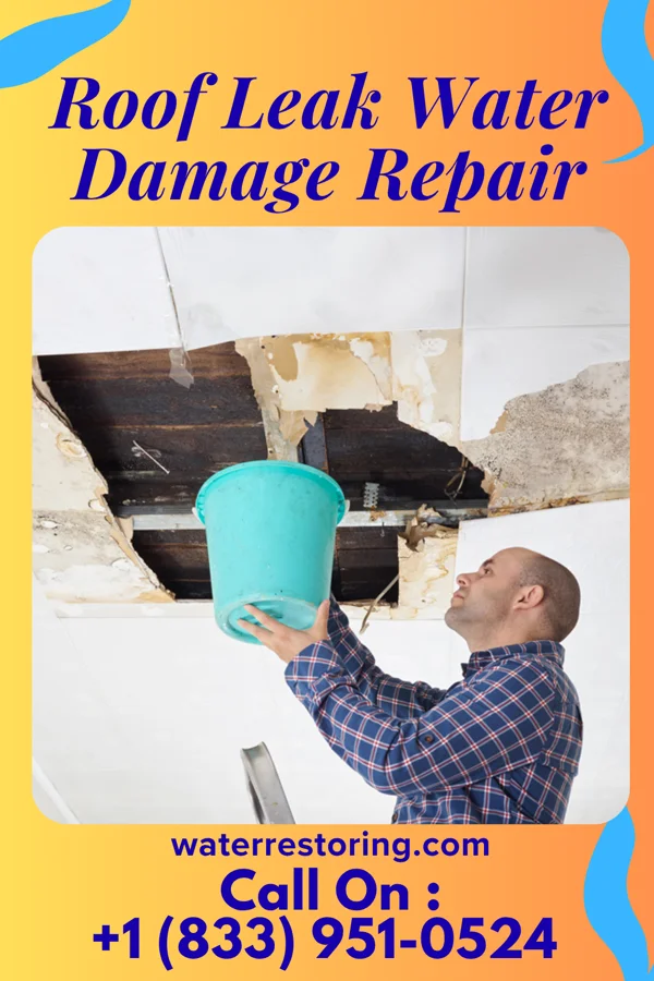 Roof Leak Water Damage Repair in Nevada, OH