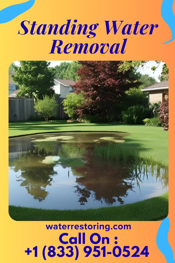 Standing Water Removal in Nevada, OH